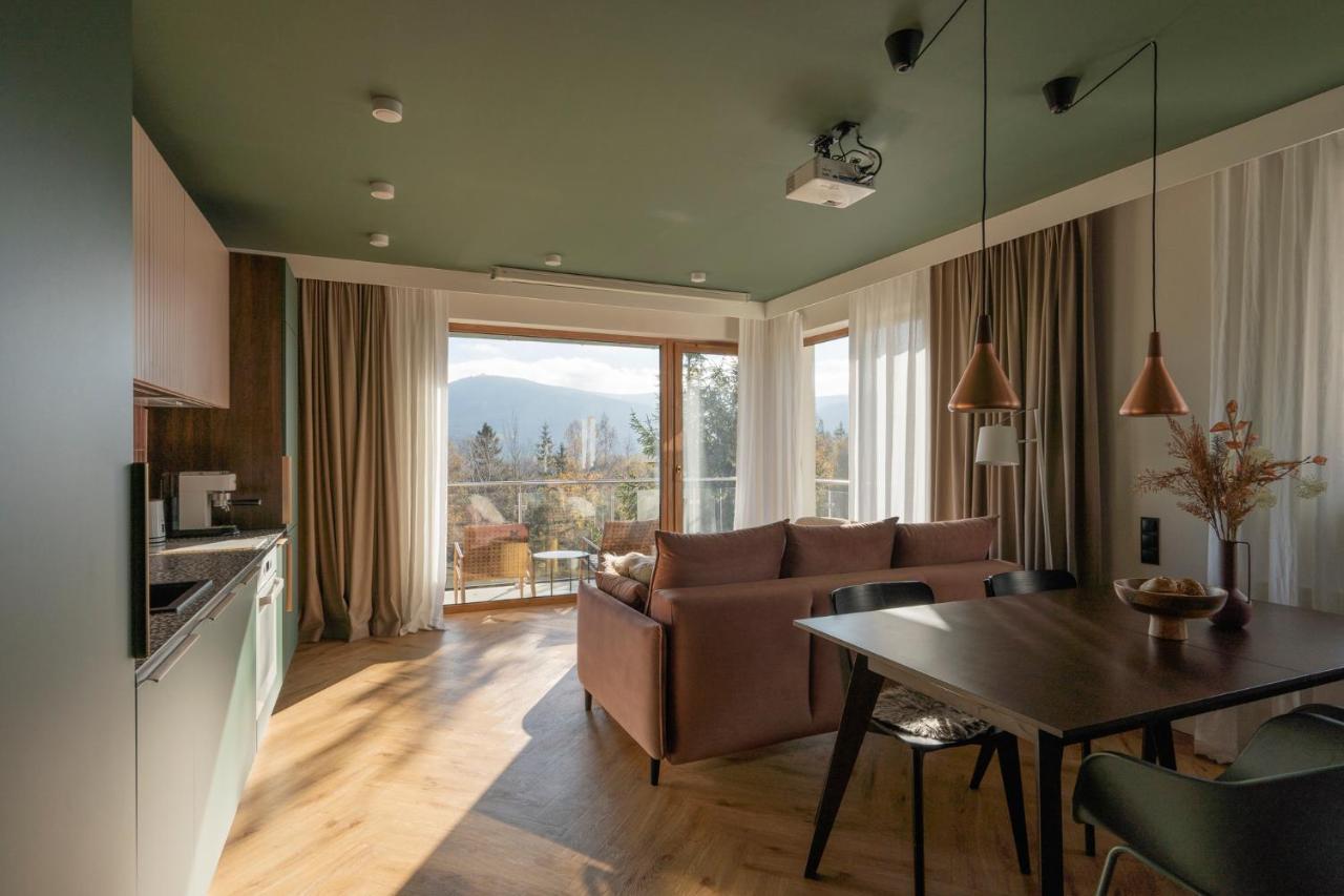 Widokowka Apartament 12 Szklarska Poręba Buitenkant foto